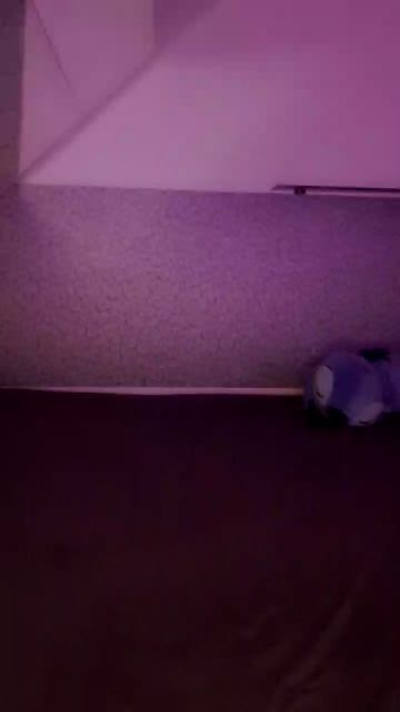 KimiCover 16-12-2021 Webcam 